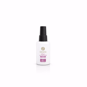 PROFESSIONAL CREATIVE 41 Shining Spray