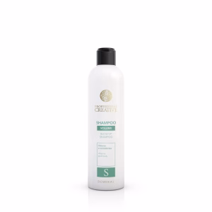 PROFESSIONAL CREATIVE Blow Up Shampoo