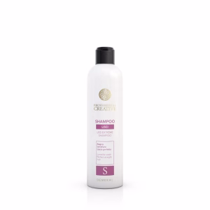 PROFESSIONAL CREATIVE Liss Extreme Shampoo
